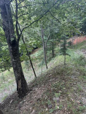 335 Deer Run Lane Morganton GA 30560
