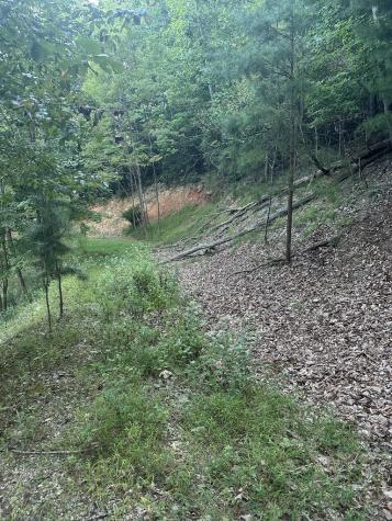 335 Deer Run Lane Morganton GA 30560