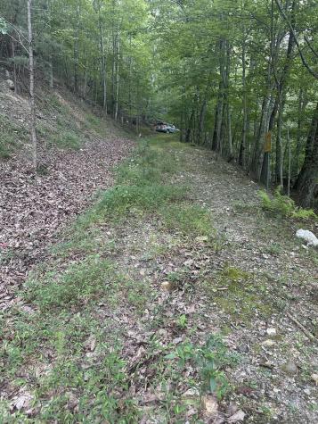 335 Deer Run Lane Morganton GA 30560