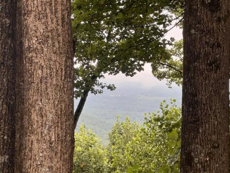 Lot 25 Walnut Ridge Ellijay GA 30536