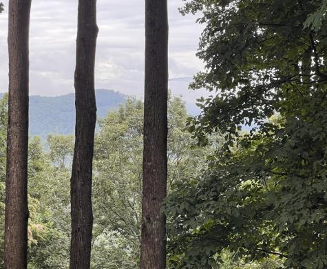 Lot 25 Walnut Ridge Ellijay GA 30536