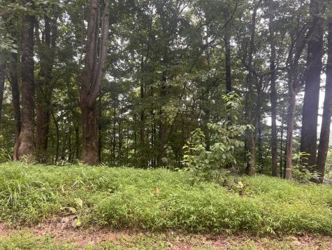 Lot 25 Walnut Ridge Ellijay GA 30536