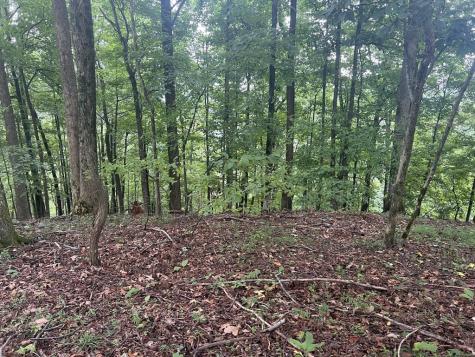 Lot 25 Walnut Ridge Ellijay GA 30536