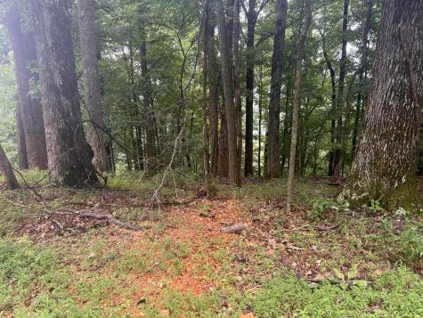 Lot 25 Walnut Ridge Ellijay GA 30536