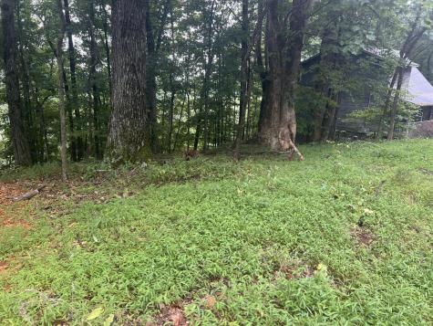Lot 25 Walnut Ridge Ellijay GA 30536