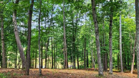 Lt 170 Overlook Way Ellijay GA 30540