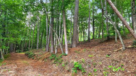 Lt 170 Overlook Way Ellijay GA 30540