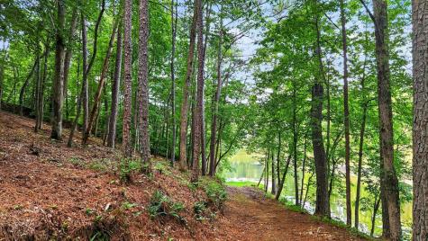 Lt 170 Overlook Way Ellijay GA 30540