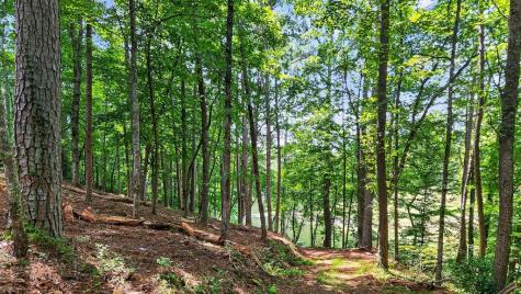 Lt 170 Overlook Way Ellijay GA 30540
