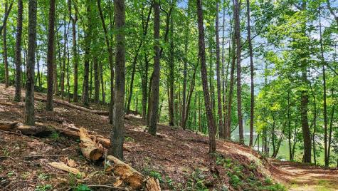 Lt 170 Overlook Way Ellijay GA 30540