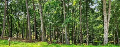 Lt 170 Overlook Way Ellijay GA 30540