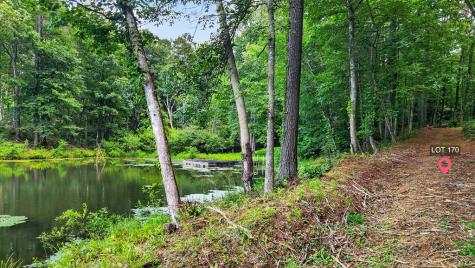 Lt 170 Overlook Way Ellijay GA 30540