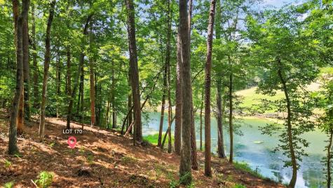 Lt 170 Overlook Way Ellijay GA 30540