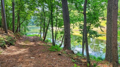 Lt 170 Overlook Way Ellijay GA 30540