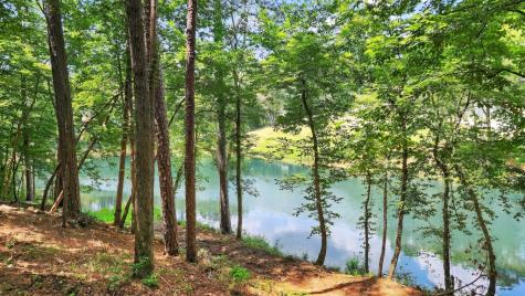 Lt 170 Overlook Way Ellijay GA 30540