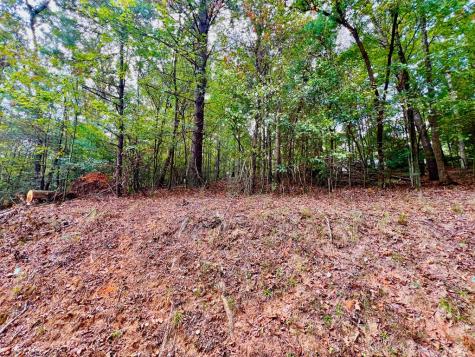 573 Cataula Court Ellijay GA 30540