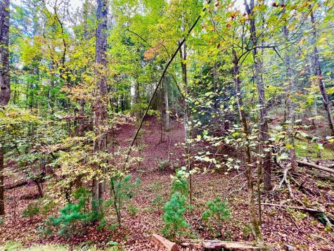 573 Cataula Court Ellijay GA 30540