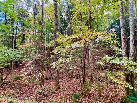 573 Cataula Court Ellijay GA 30540