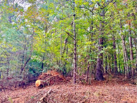 573 Cataula Court Ellijay GA 30540