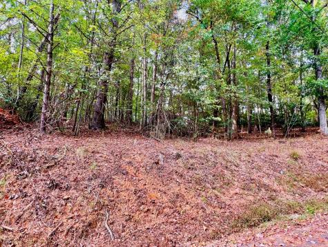 573 Cataula Court Ellijay GA 30540