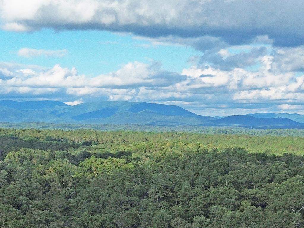 Lot 20 Mt. Springer Road Ellijay GA 30540
