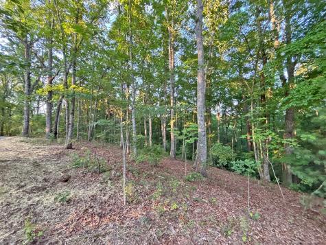 Lot 20 Mt. Springer Road Ellijay GA 30540