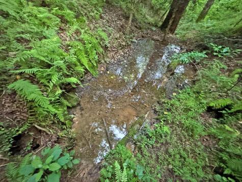 Lot 20 Mt. Springer Road Ellijay GA 30540