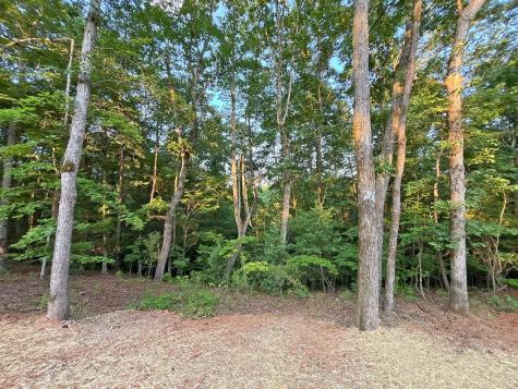 Lot 20 Mt. Springer Road Ellijay GA 30540