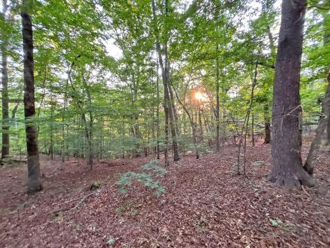 Lot 20 Mt. Springer Road Ellijay GA 30540