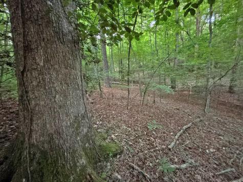 Lot 20 Mt. Springer Road Ellijay GA 30540