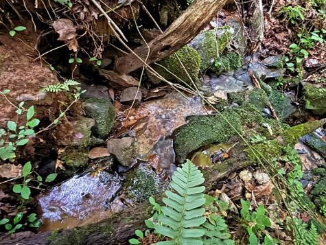 Lot 20 Mt. Springer Road Ellijay GA 30540