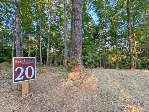 Lot 20 Mt. Springer Road Ellijay GA 30540