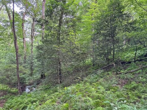 Lot 20 Mt. Springer Road Ellijay GA 30540