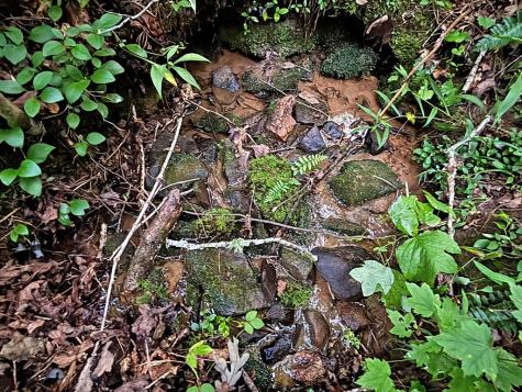 Lot 20 Mt. Springer Road Ellijay GA 30540
