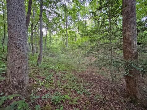 Lot 20 Mt. Springer Road Ellijay GA 30540