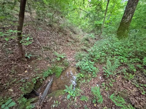 Lot 20 Mt. Springer Road Ellijay GA 30540