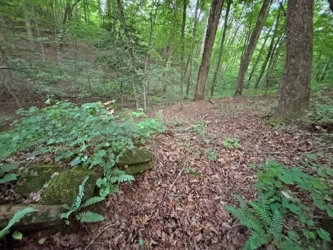 Lot 20 Mt. Springer Road Ellijay GA 30540