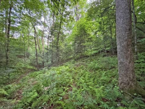 Lot 20 Mt. Springer Road Ellijay GA 30540