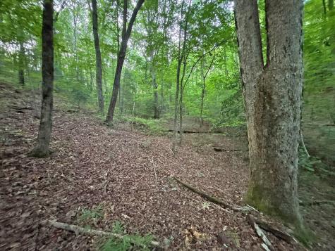 Lot 20 Mt. Springer Road Ellijay GA 30540