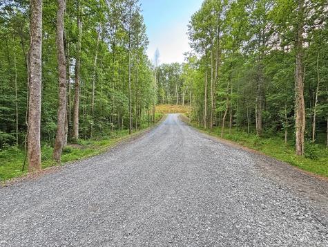 Lot 20 Mt. Springer Road Ellijay GA 30540