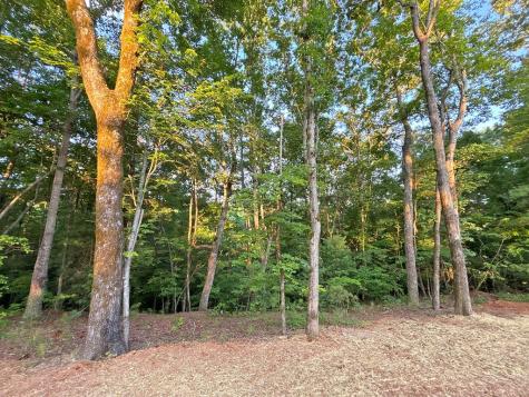 Lot 20 Mt. Springer Road Ellijay GA 30540
