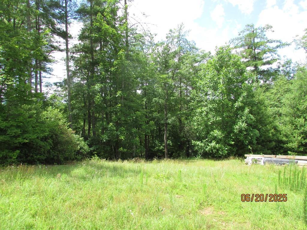 #10&#11 Shelton Springs S/d Hayesville NC 28904