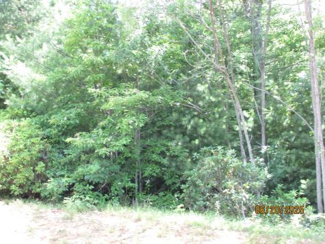 #10&#11 Shelton Springs S/d Hayesville NC 28904