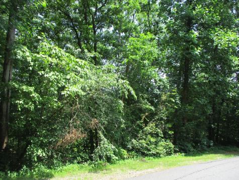 74A Licklog Ridge Hayesville NC 28904