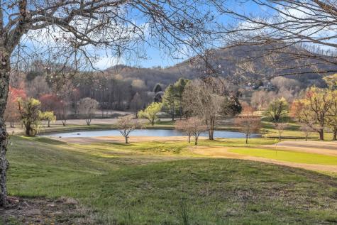 74A Licklog Ridge Hayesville NC 28904