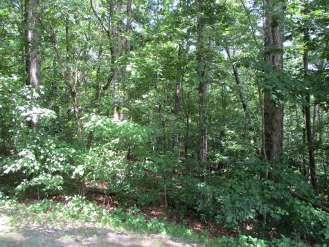 74A Licklog Ridge Hayesville NC 28904