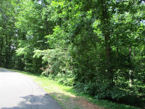 74A Licklog Ridge Hayesville NC 28904