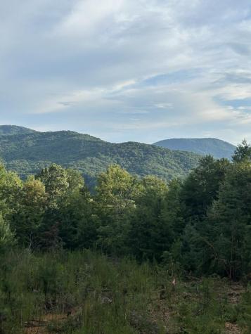 25 Acres Burgess Gap Road Morganton GA 30560