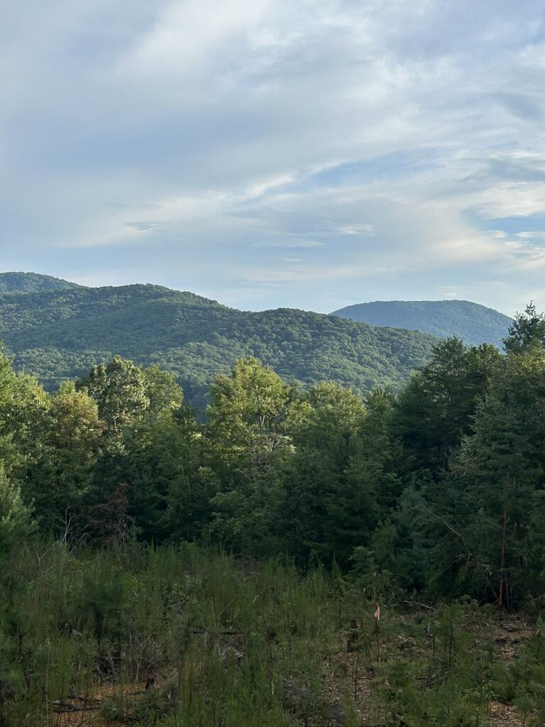 25 Acres Burgess Gap Road Morganton GA 30560