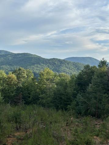 25 Acres Burgess Gap Road Morganton GA 30560